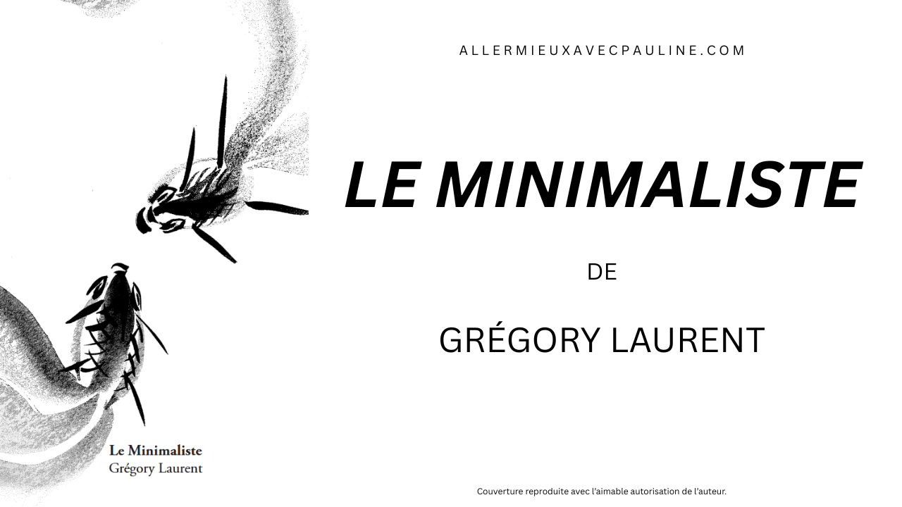Lecture : « Le minimaliste » de Grégory Laurent
